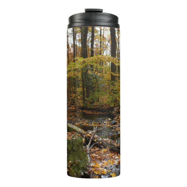 Termo Arroyo Fall con reflejo en el parque Laurel Hill (Anverso)