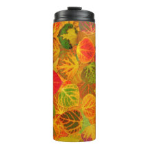 Aspen Deja Collage Sólido Medley 1