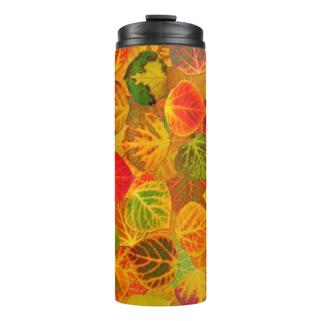 Termo Aspen Deja Collage Sólido Medley 1 (Anverso)