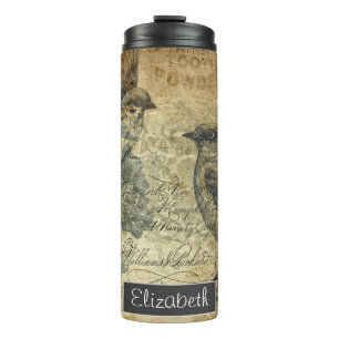 Termo Aves y pergaminos de época