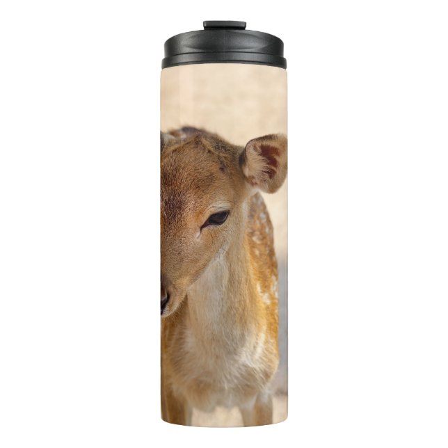 Termo Baby Deer (Anverso)