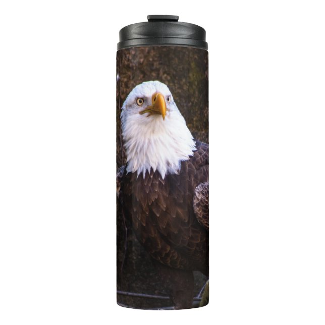 Termo Bald Eagle (Anverso)