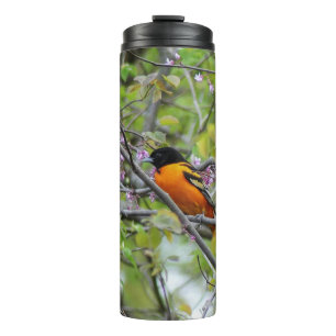 Termo Baltimore Oriole