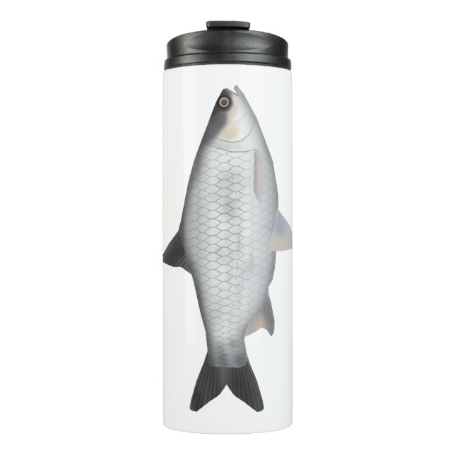 Termo Barbo Oliva (Anverso)
