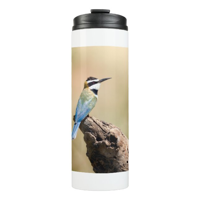 Termo Bee-eater (Anverso)