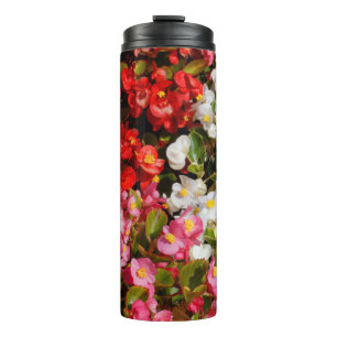 Termo Begonias de cera colorida