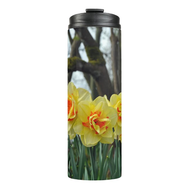 Termo Belleza adafroidea amarilla (Anverso)