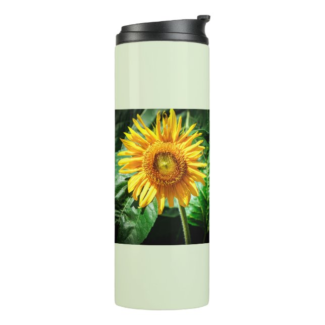 Termo Belleza de Girasol (Rotado hacia la izquierda)