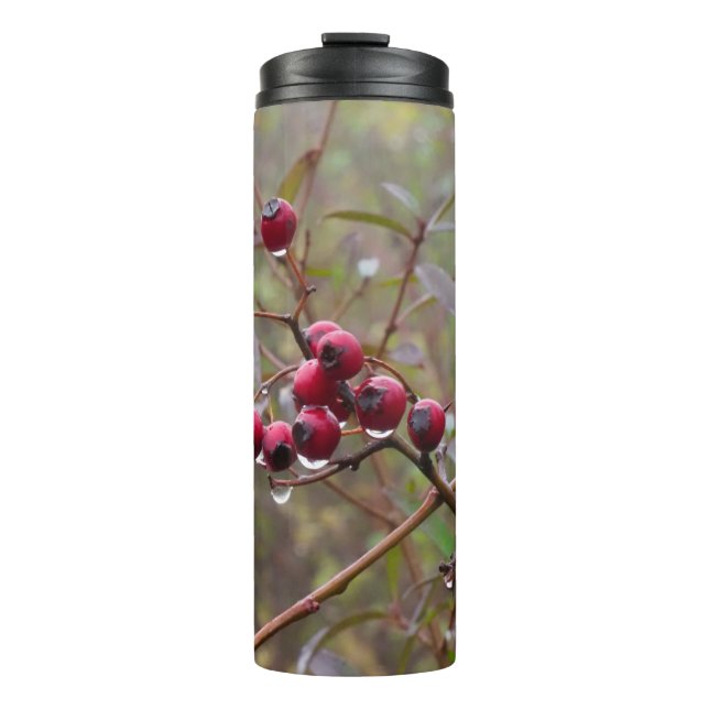 Termo Berries (Anverso)