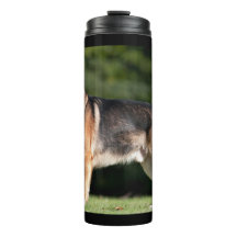 Besada de sol en el parque