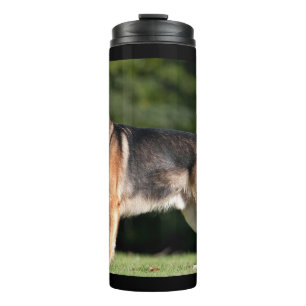 Termo Besada de sol en el parque