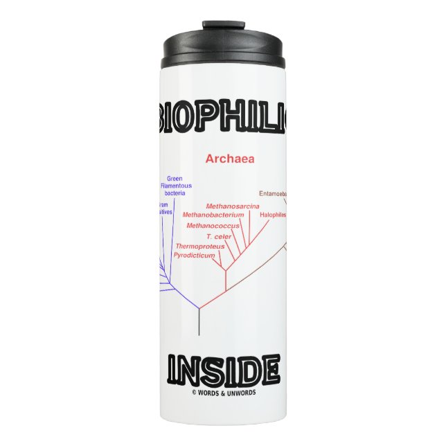 Termo Biofílico Dentro Del Árbol Filogenético De La Biol (Anverso)