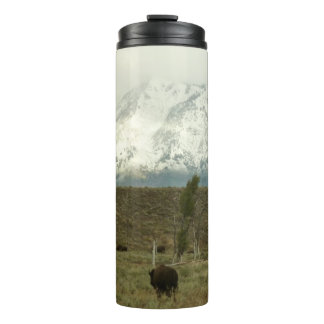 Termo Bison en la fotografía del parque nacional del Gra