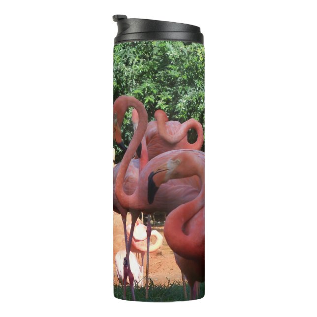 Termo Bloque De Flamencos Rosados (Rotado hacia la derecha)