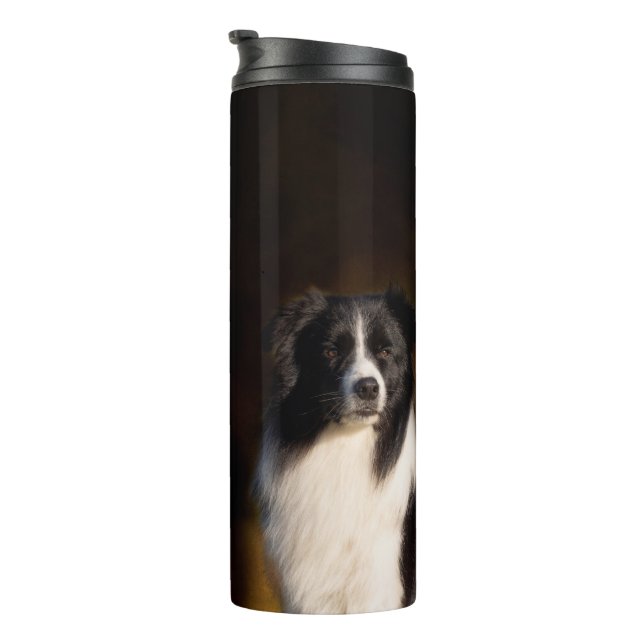 Termo Border collie (Rotado hacia la derecha)