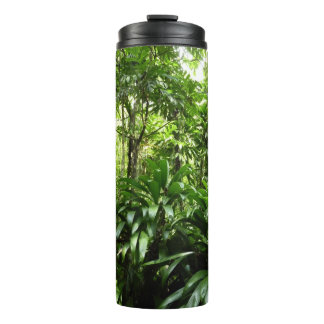 Termo Bosque lluvioso dominicano I Naturaleza tropical v
