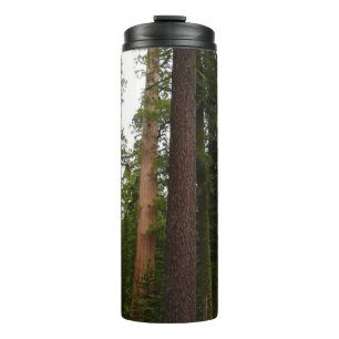 Termo Bosque Mariposa en el Parque Nacional Yosemite