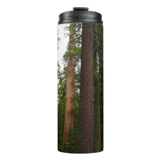 Termo Bosque Mariposa en el Parque Nacional Yosemite
