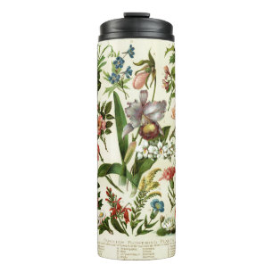 Termo Botánicos de flores