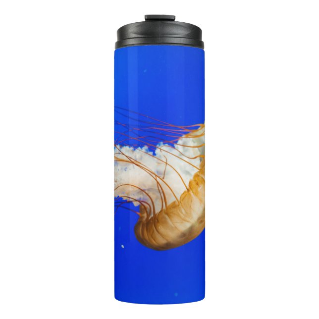 TERMO BROWN JELLYFISH (Anverso)