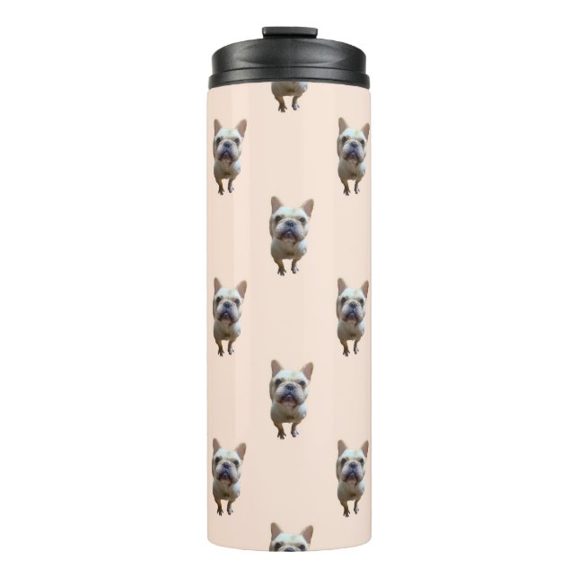 Termo bulldog_1_francés_1 (Anverso)