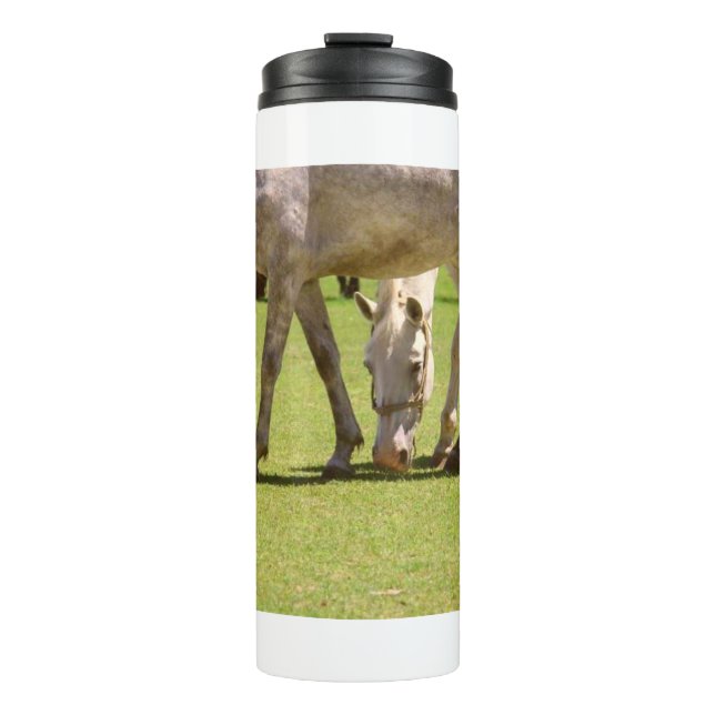 Termo Caballos 11 (Anverso)