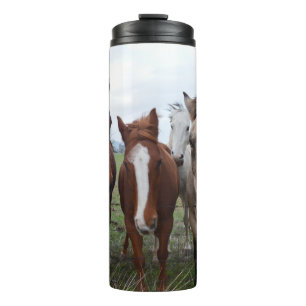 Termo Cabello De Pelo, Cuatro Picas De Caballo,