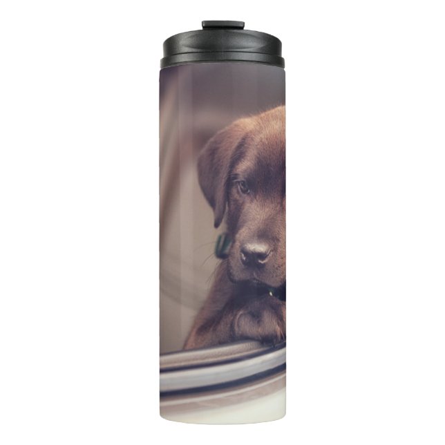 Termo Cachorro De Chocolate En Coche (Anverso)