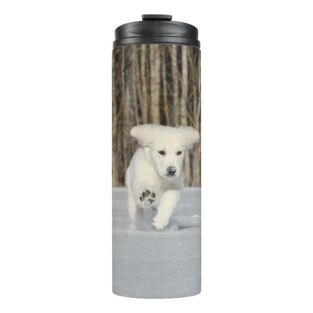 Termo Cachorro de cobre blanco en nieve (Anverso)