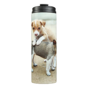 Termo Cachorros en la playa