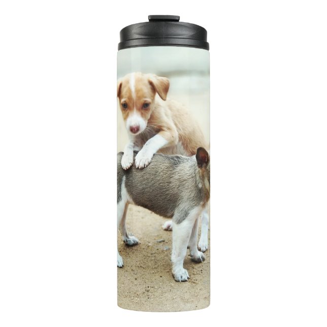 Termo Cachorros en la playa (Anverso)