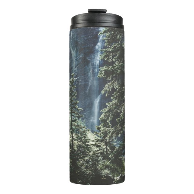 TERMO CAÍDA DE AGUA EN TELLURIDA (Anverso)