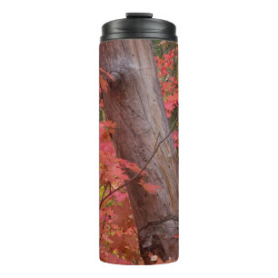 Termo Caída en rosa en Sedona, Arizona