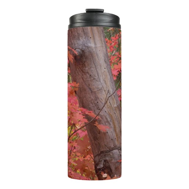 Termo Caída en rosa en Sedona, Arizona (Anverso)