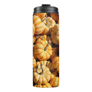 Termo calabazas pequeñas en la pila