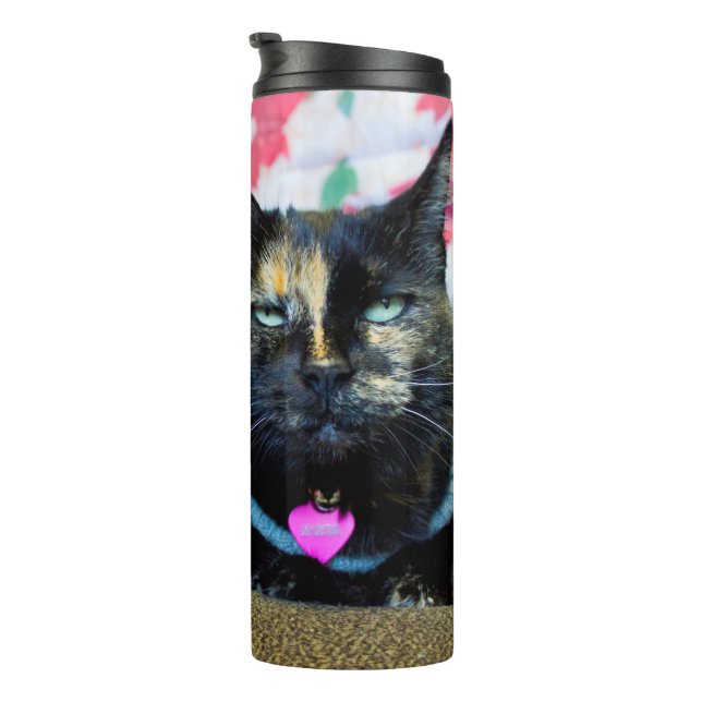 Termo Calcio I (Rotado hacia la derecha)