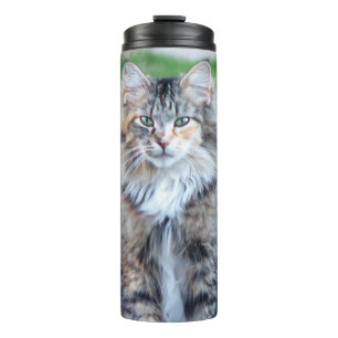 Termo Calico Cat