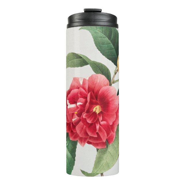 Termo Camelia Variada, Pierre-Joseph Redouté, 1833 (Anverso)