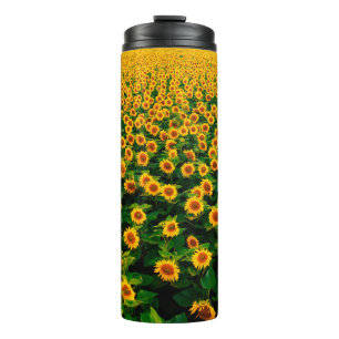 Termo Campo con girasoles amarillos brillantes en días s