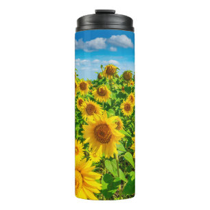 Termo Campo de girasoles en verano soleado. Picturesco l