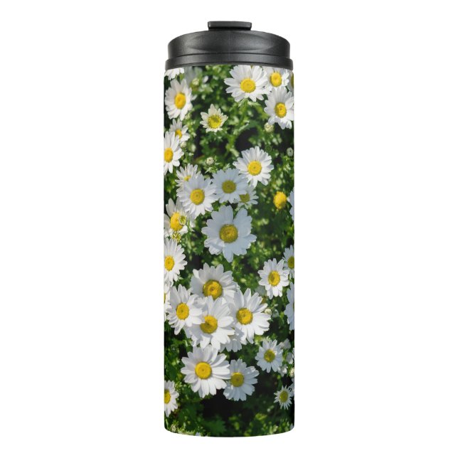 Termo Campo de marea de primavera: fondo sereno (Anverso)