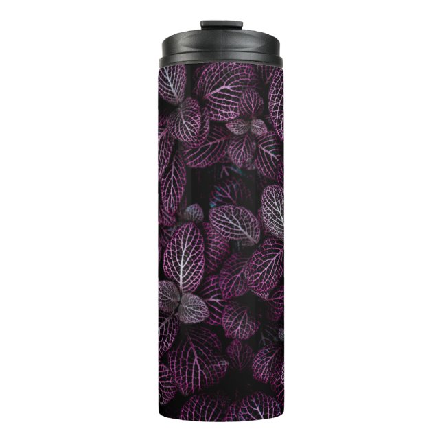 TERMO CAMPO DE PLANTA DE PURPLE LEAFED (Anverso)