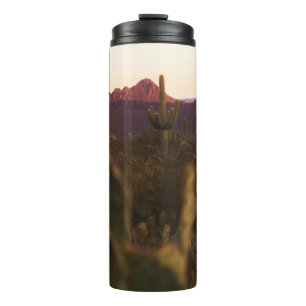 TERMO CAMPO GRIS VERDE