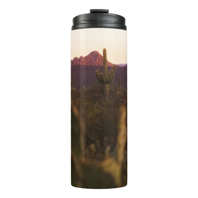 TERMO CAMPO GRIS VERDE (Anverso)