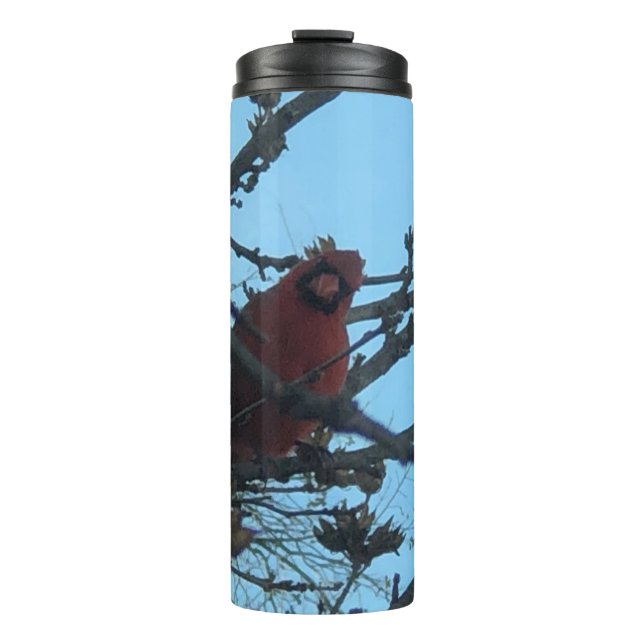 Termo Cardinal (Anverso)