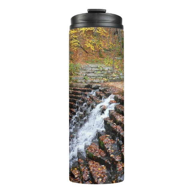 Termo Cascada en Laurel Hill State Park II (Anverso)