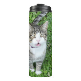 Termo Cat in Clover