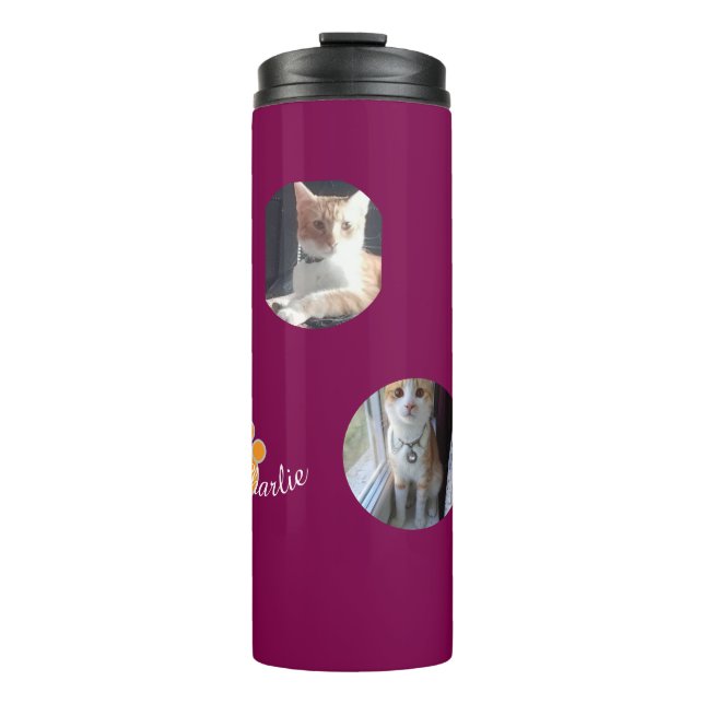 Termo Cat Pawprint Humor Cat Photo (Anverso)