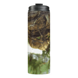 Termo Caza de Cicada. Tenía prisa.