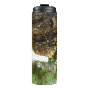 Termo Caza de Cicada. Tenía prisa.